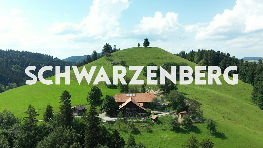 Immobilienfilm Schwarzenberg